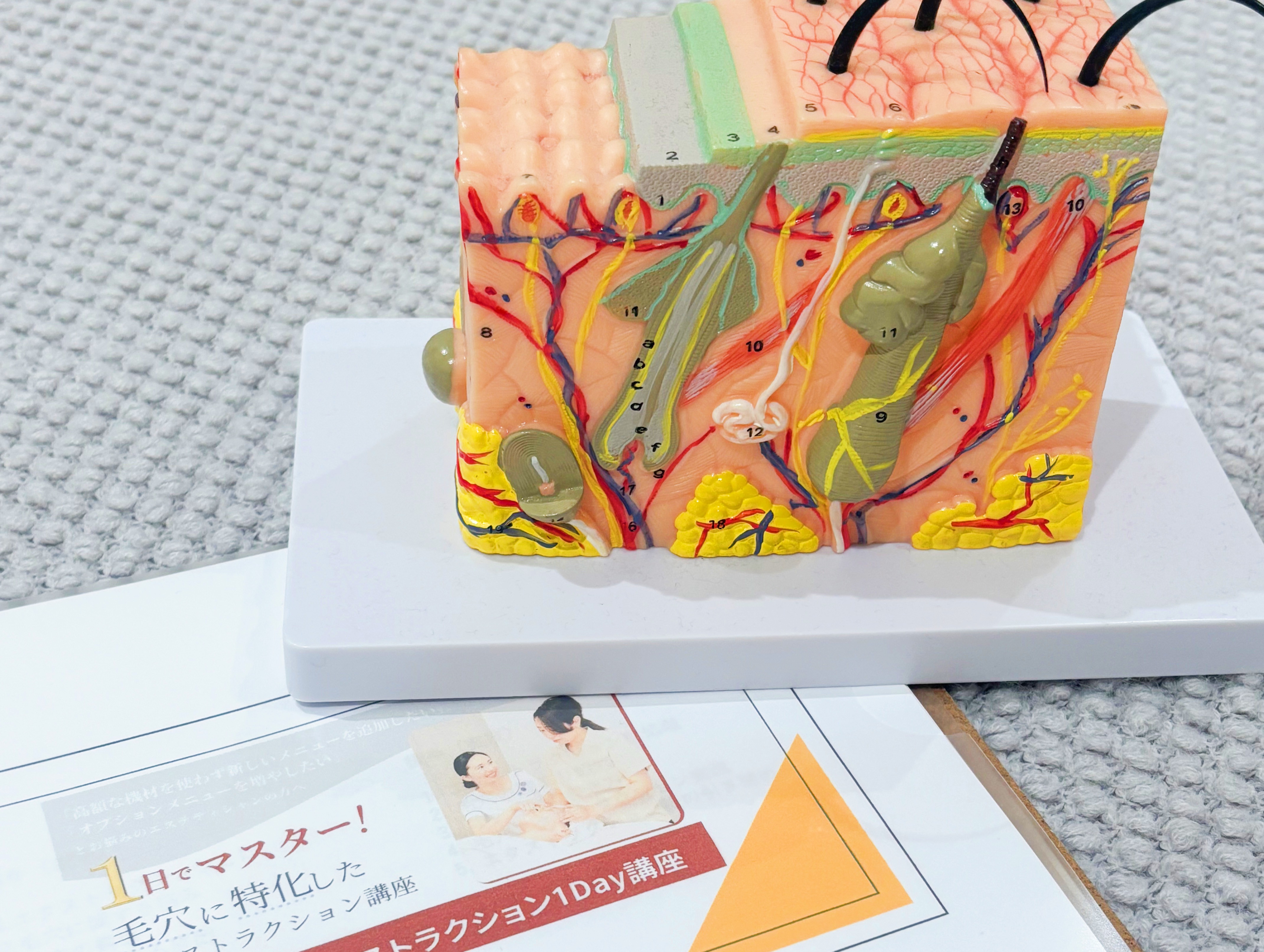 毛穴エクストラクション