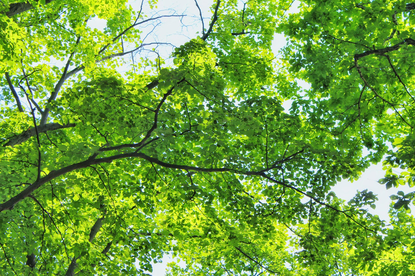 下北沢フェイシャル